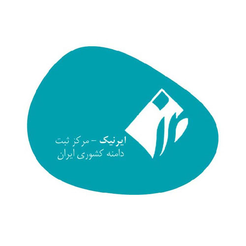 ایرنیک چیست و در چه صورت لازم است ایرنیک بسازید؟