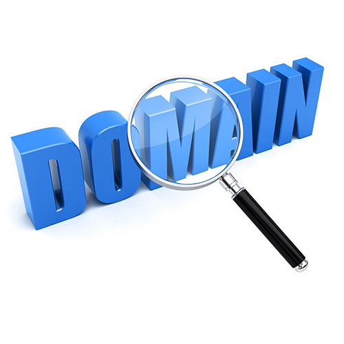 راهنمای جامع برای انتخاب و ثبت دامنه وب سایت